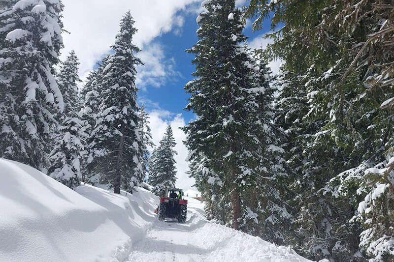 Rodelstrecke zur Birgitzer Alm im Winter